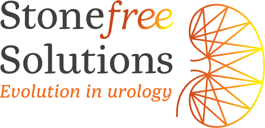 StoneFreeSolutions logo no tagline text only - positive